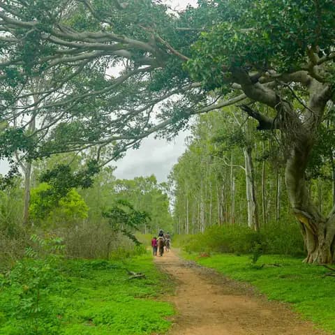 Share the silence with friends in the lush woods close to, but tucked away, from the city. 