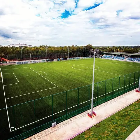 Explore the world-class sports facility and museum with a dedicated guide.