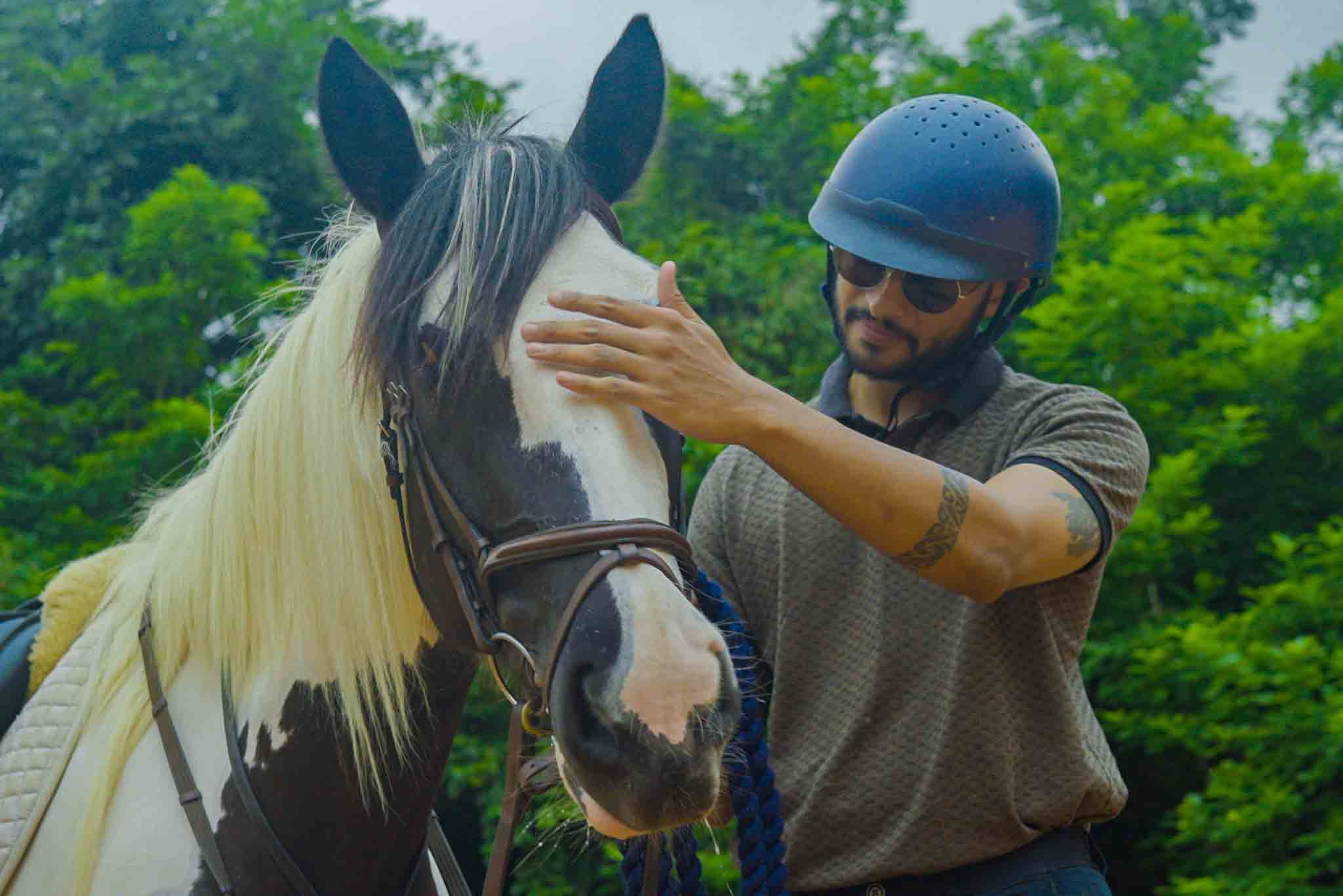 How I Mastered Horse Riding Learning Experience Close to Yelahanka