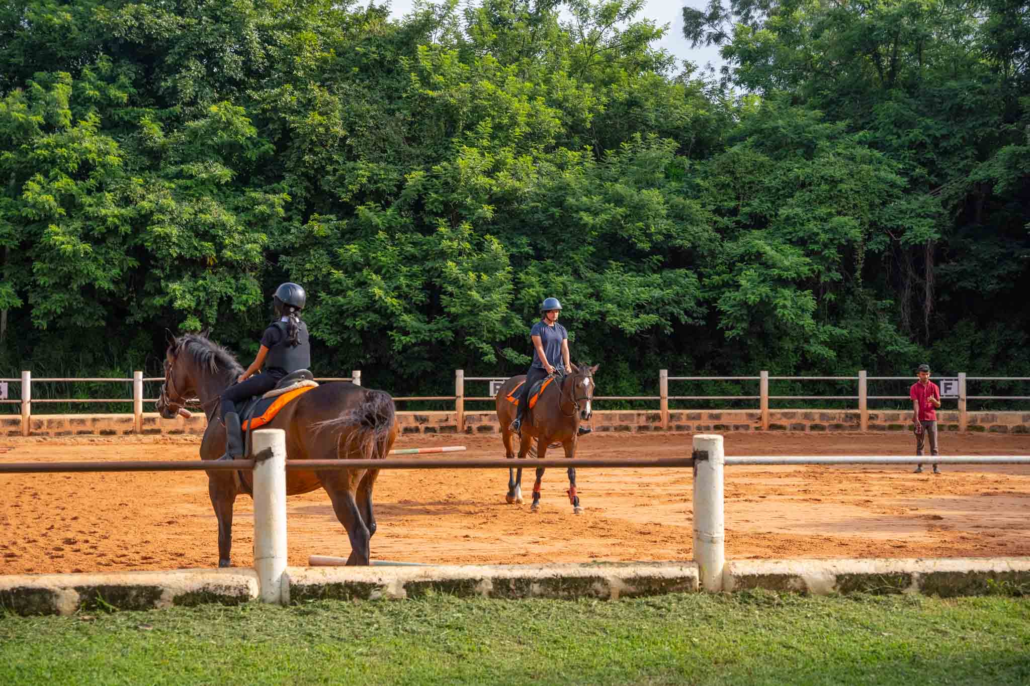 Get Ready to Gallop: Horse Riding Learning Experience Near Yelahanka