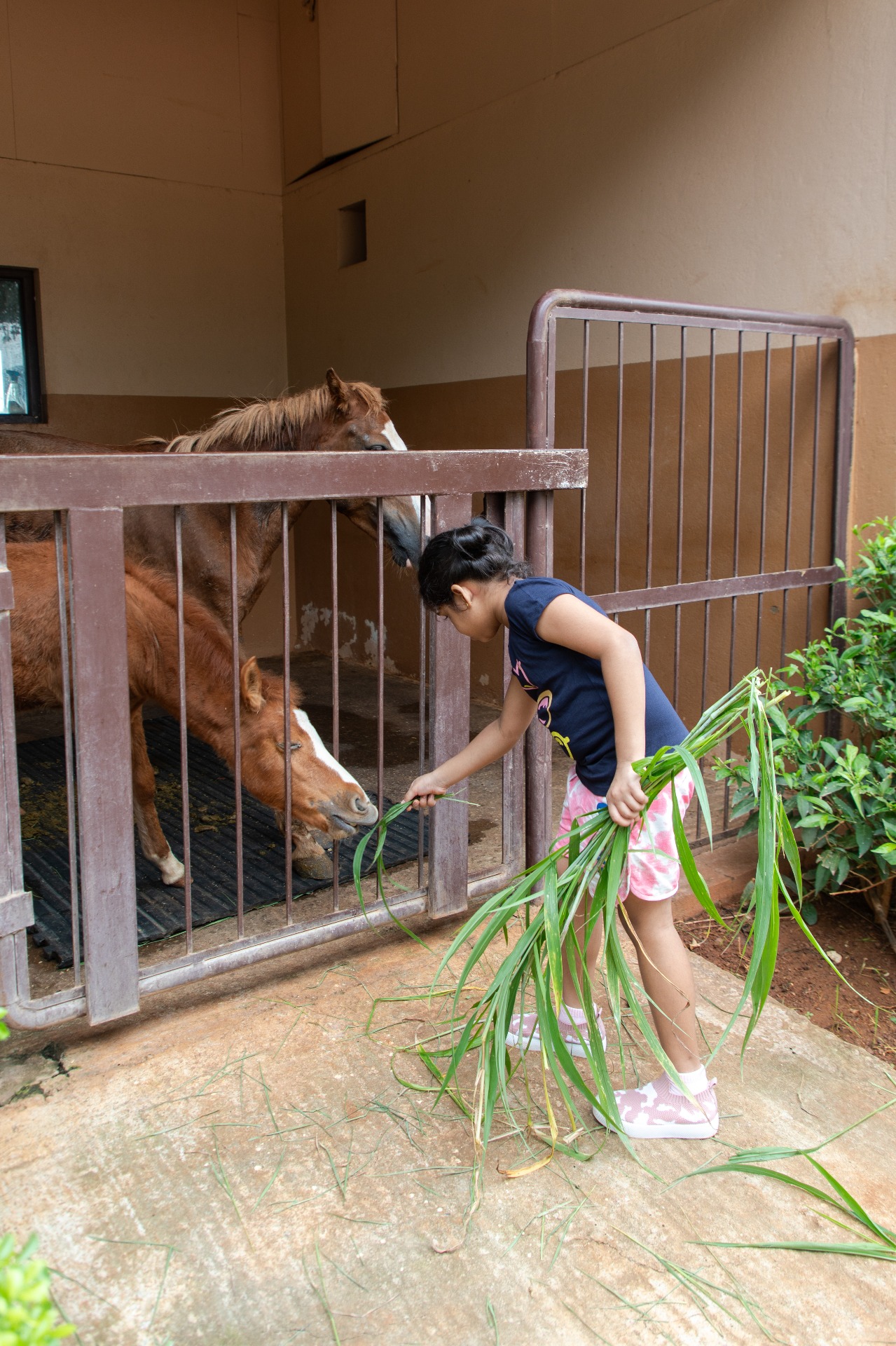 Why I Can’t Stop Talking About My Guided Horse Ride Experience