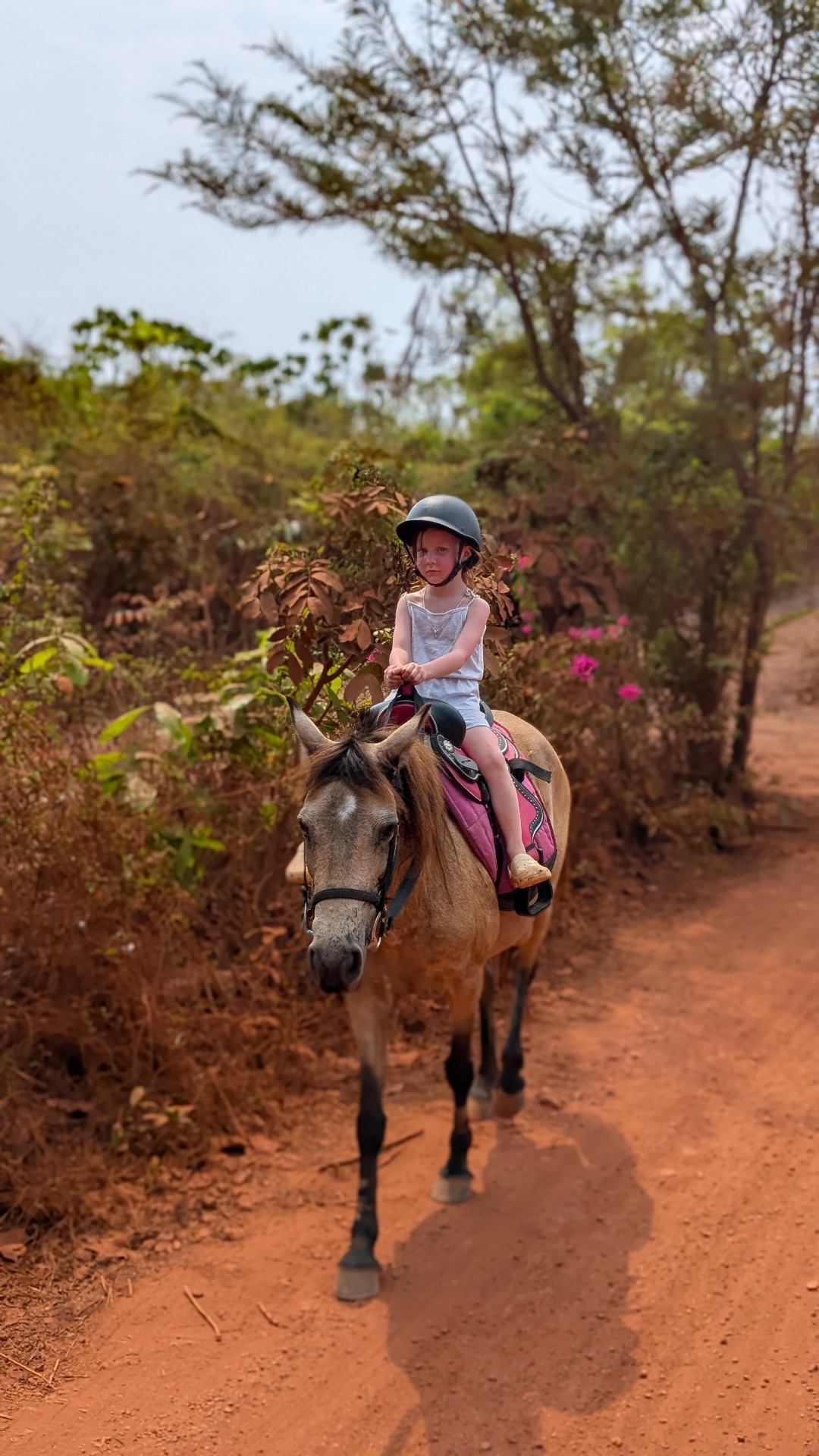 Explore Goa’s Untouched Forests on the Hidden Jungle Horse Ride