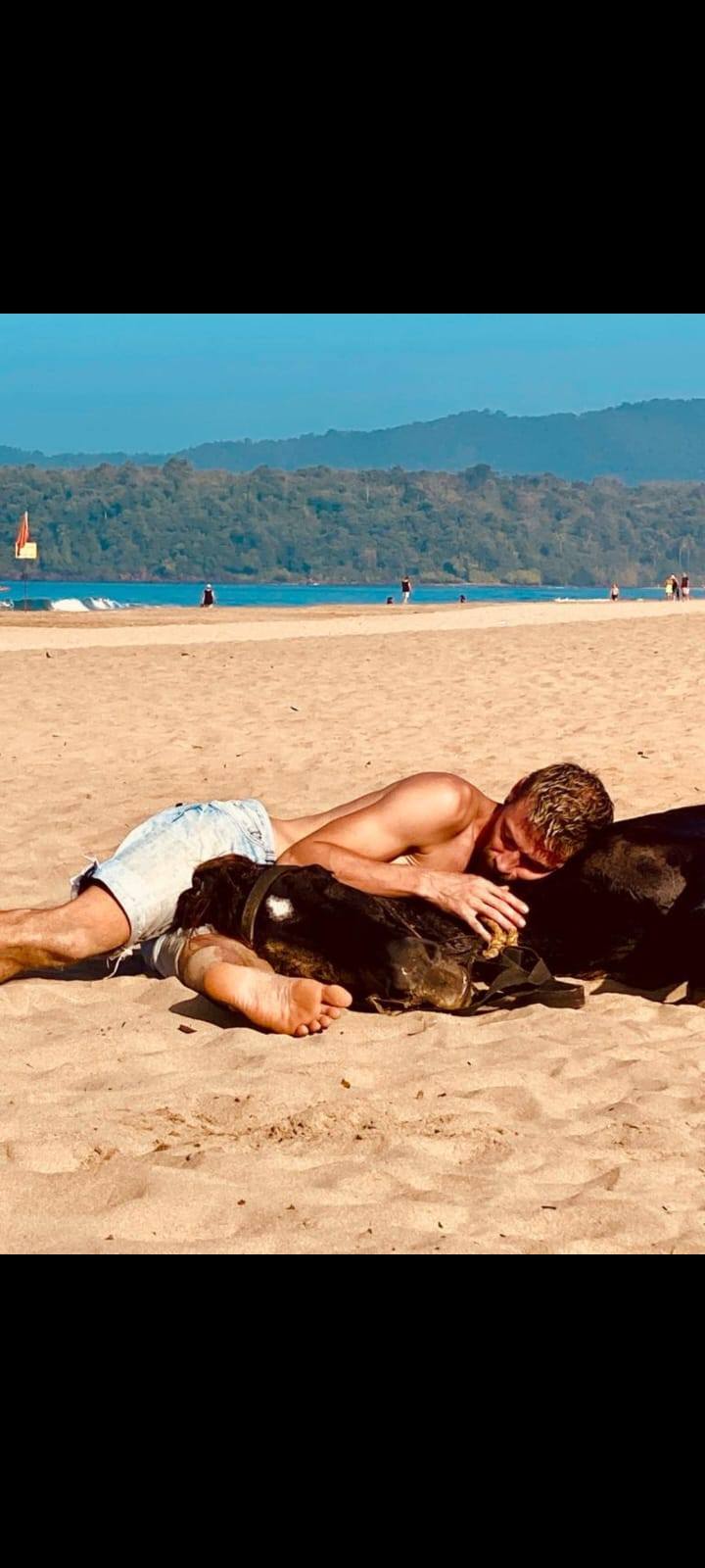 Why We All Need a Horse Riding Beach Safari Experience in Our Lives